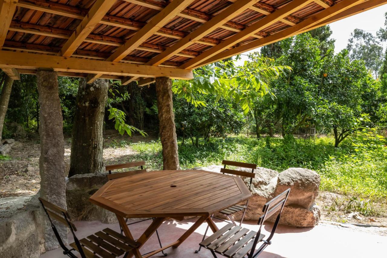 Casas Do Capitao - Paiva Valley - Pool And Nature Castelo de Paiva Kültér fotó